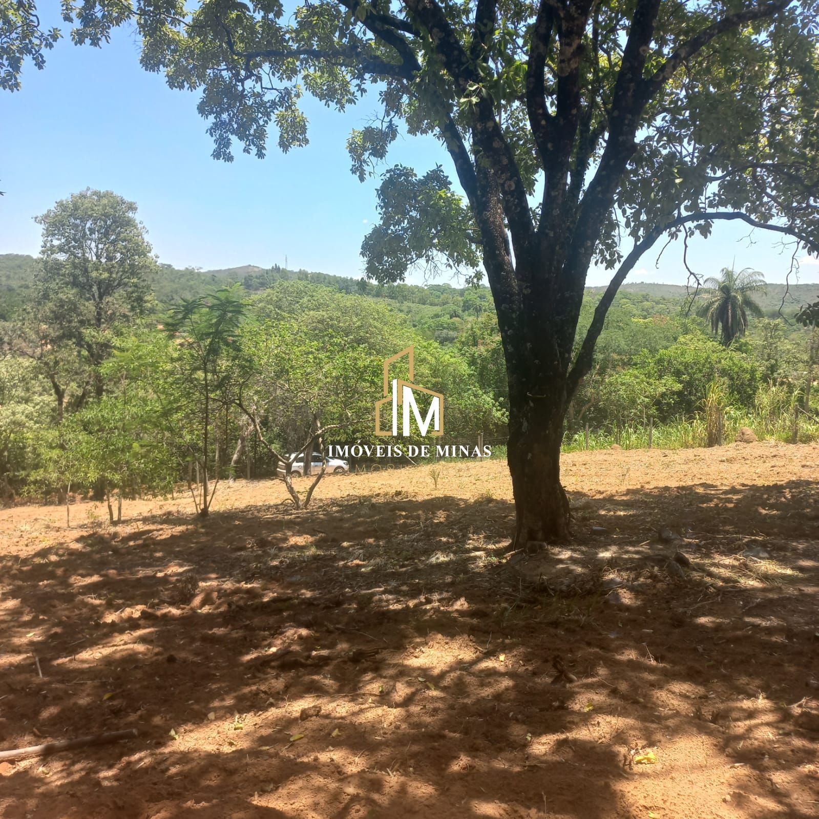 img35289524