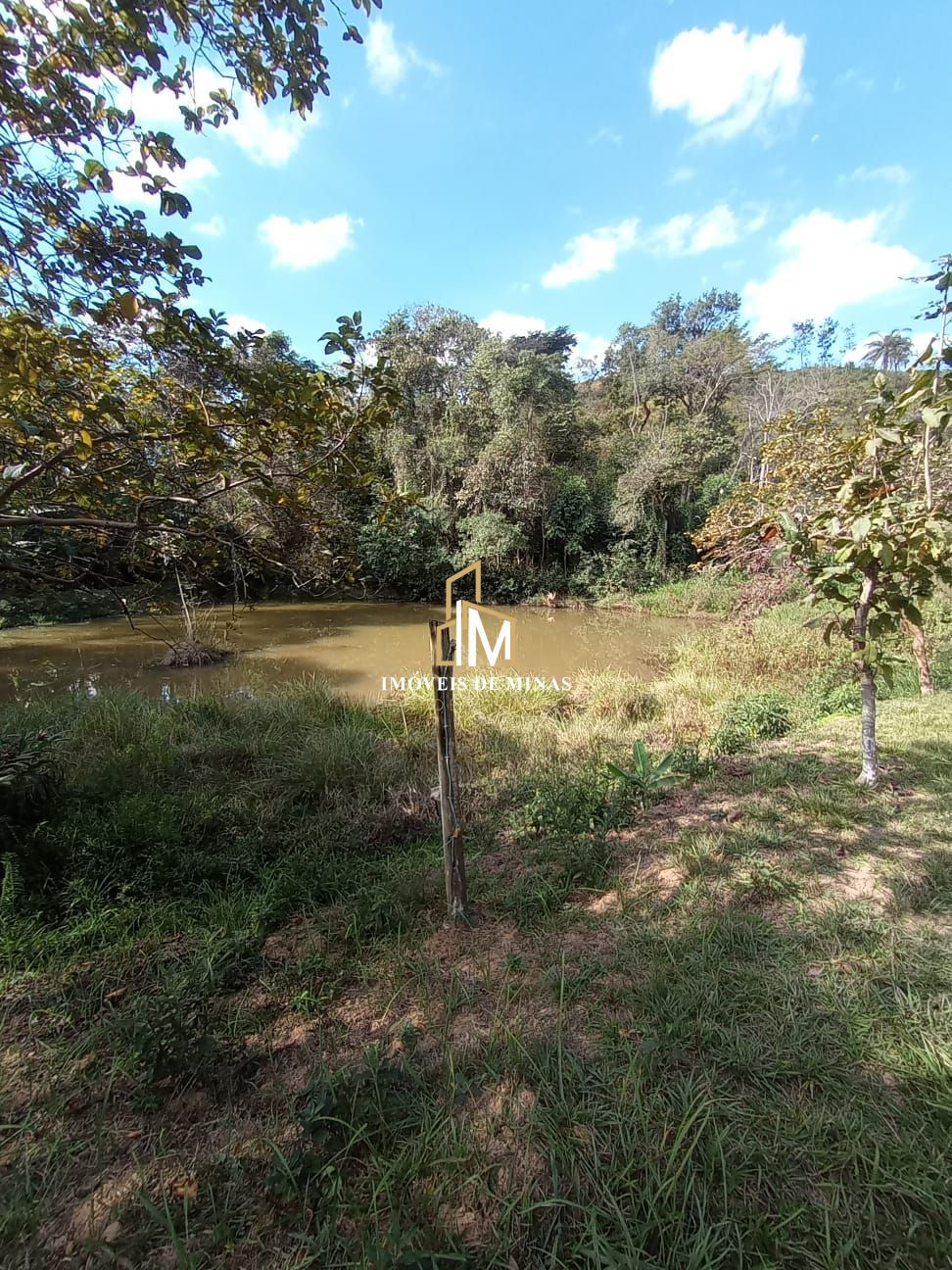 Sítio à venda com 5 quartos, 3600m² - Foto 17