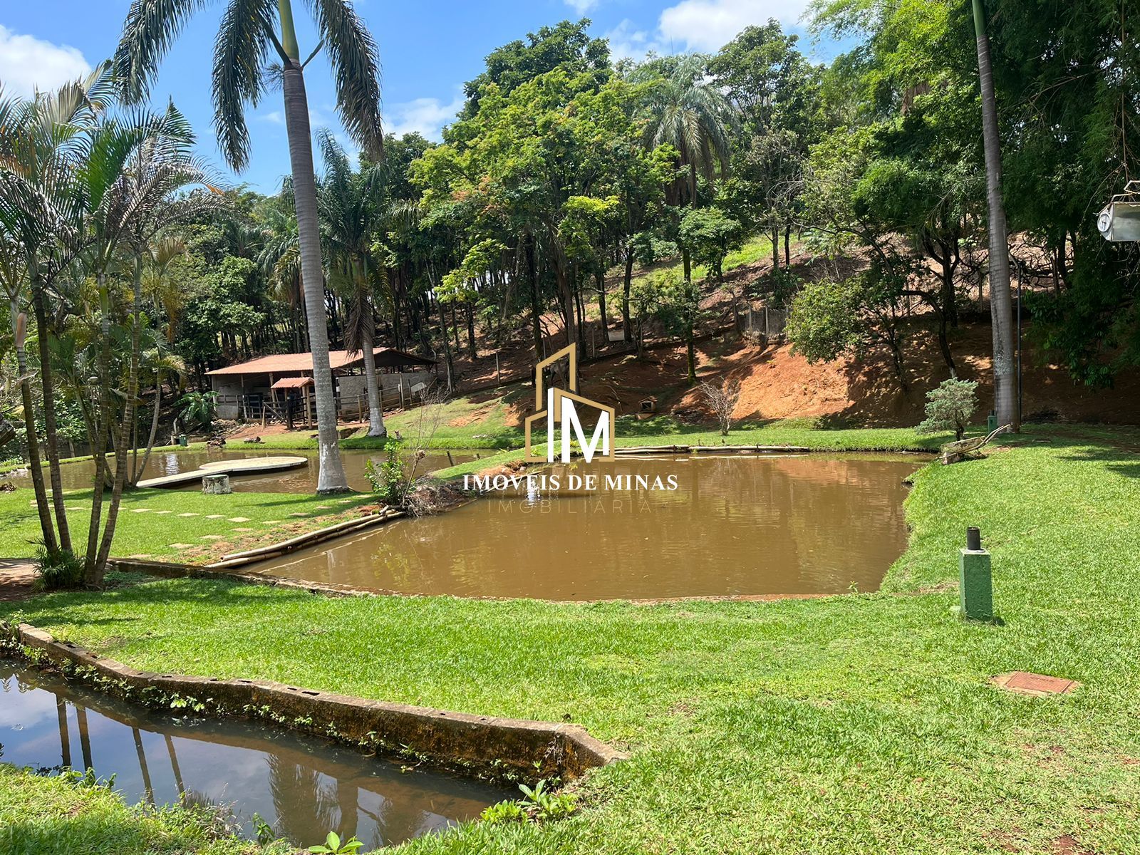 Fazenda à venda com 4 quartos, 16000m² - Foto 1