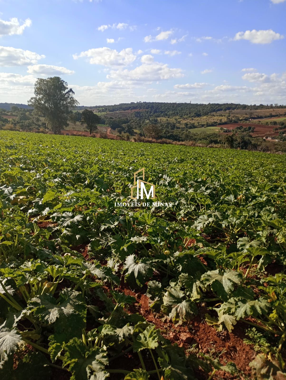 Terreno à venda, 1000m² - Foto 2