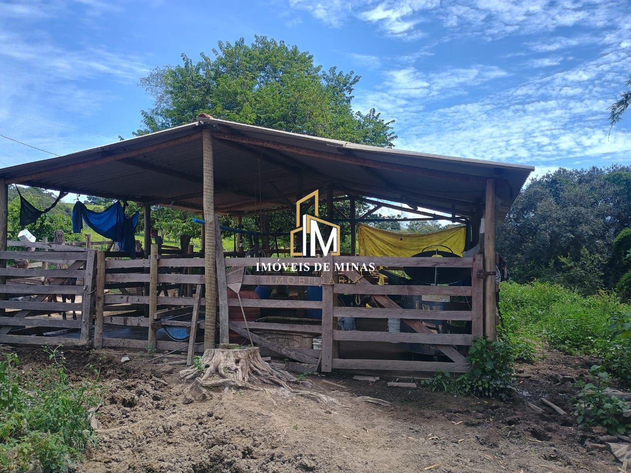 Fazenda à venda com 3 quartos, 270000m² - Foto 9