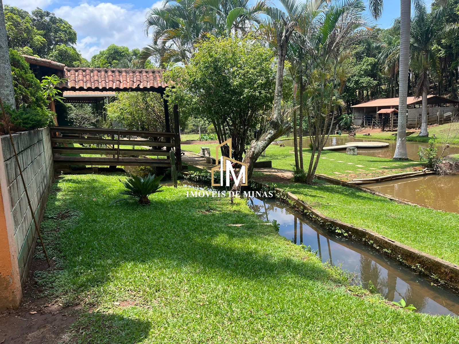 Fazenda à venda com 4 quartos, 16000m² - Foto 2