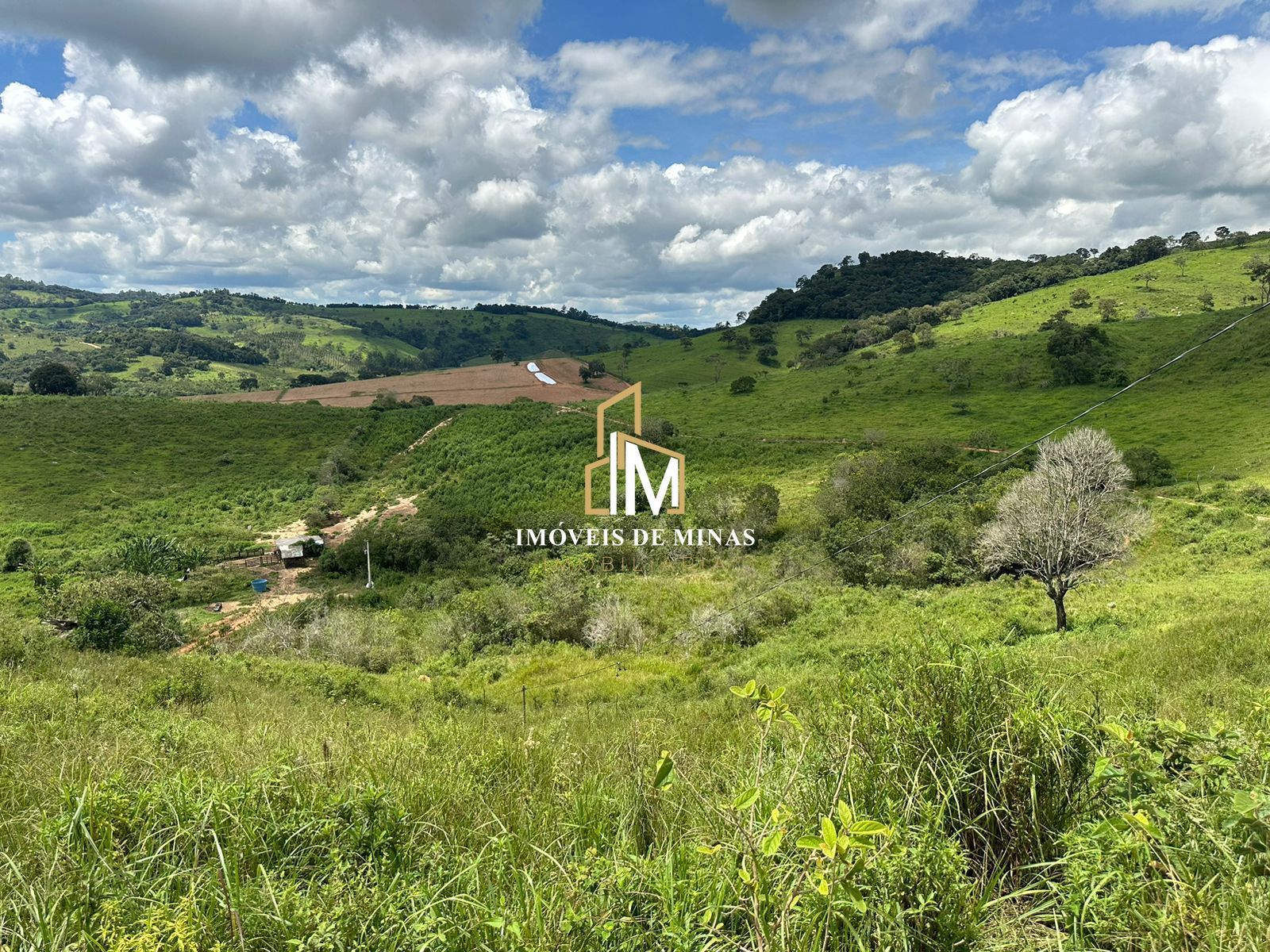 Fazenda à venda com 4 quartos, 4500000000m² - Foto 23