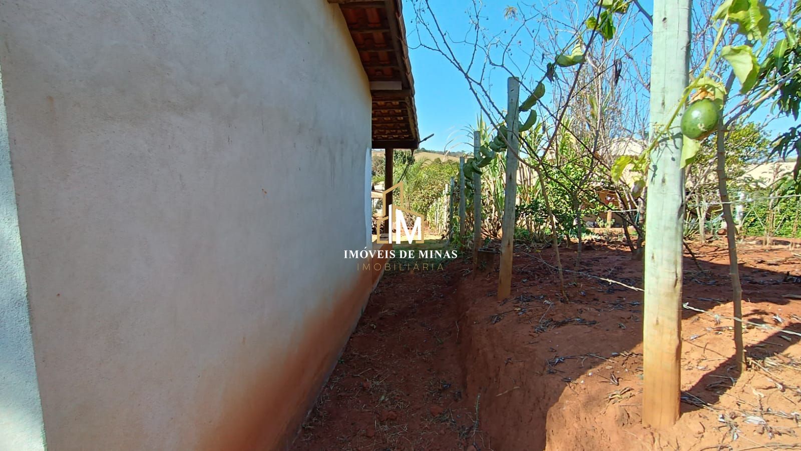 Fazenda à venda com 1 quarto, 1000m² - Foto 5