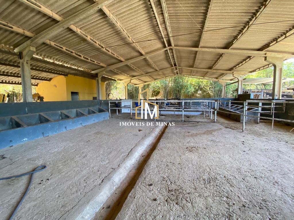 Fazenda à venda com 7 quartos, 14600000000m² - Foto 7