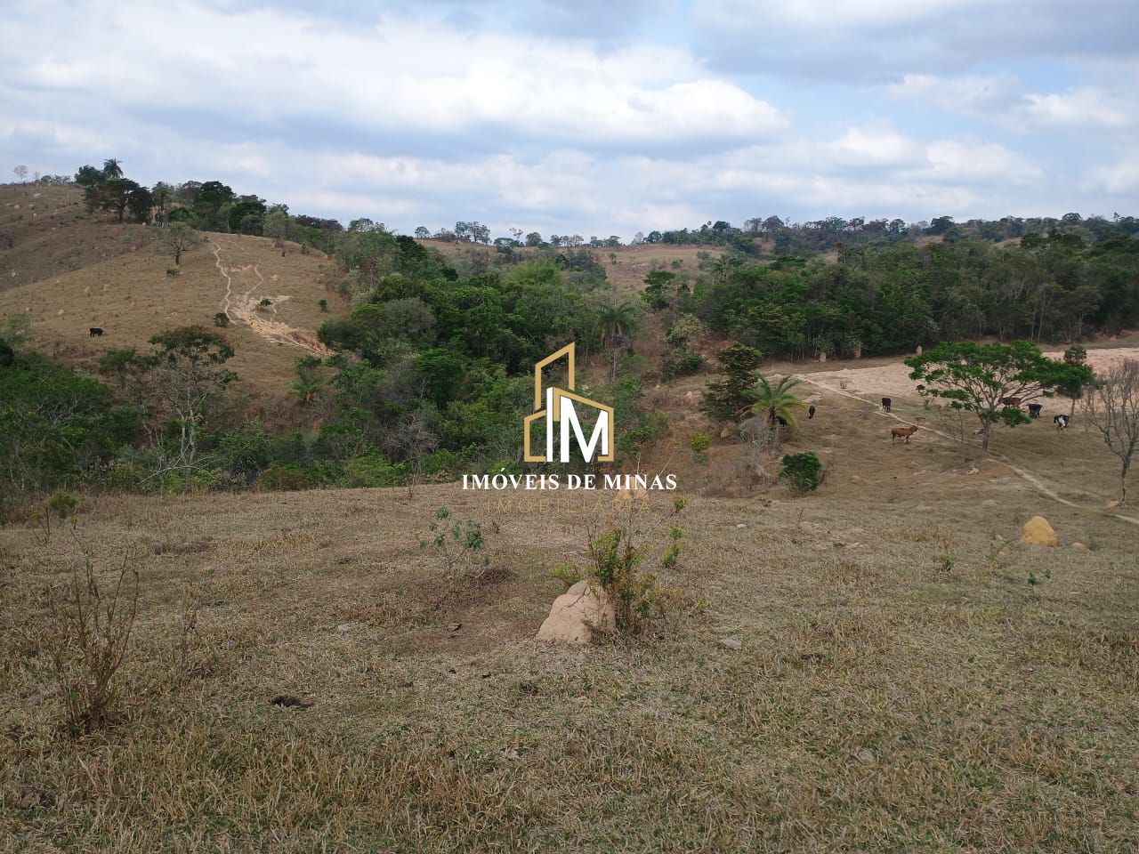 Fazenda à venda com 3 quartos, 780000m² - Foto 12