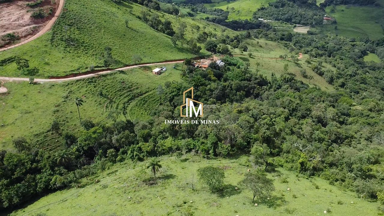 Fazenda à venda com 4 quartos, 4400000000m² - Foto 13