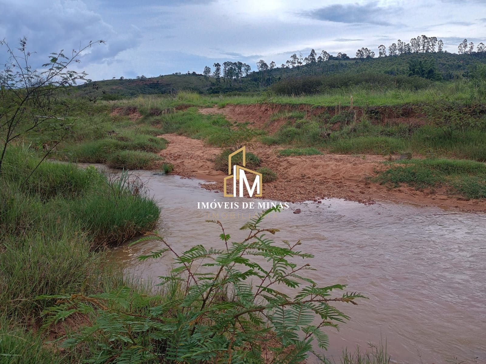 Fazenda à venda com 1 quarto, 380000m² - Foto 9