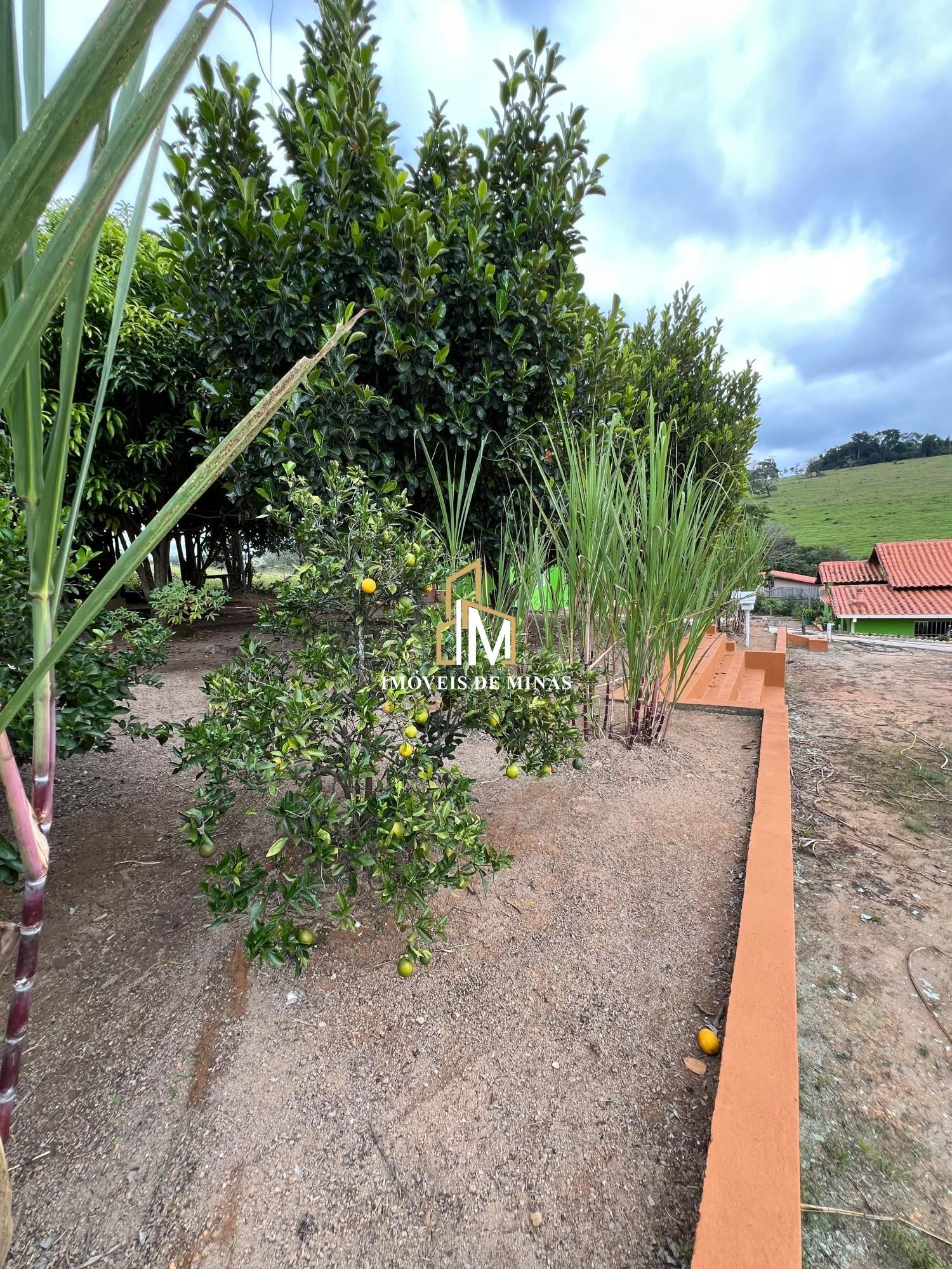 Fazenda à venda com 4 quartos, 2000m² - Foto 31