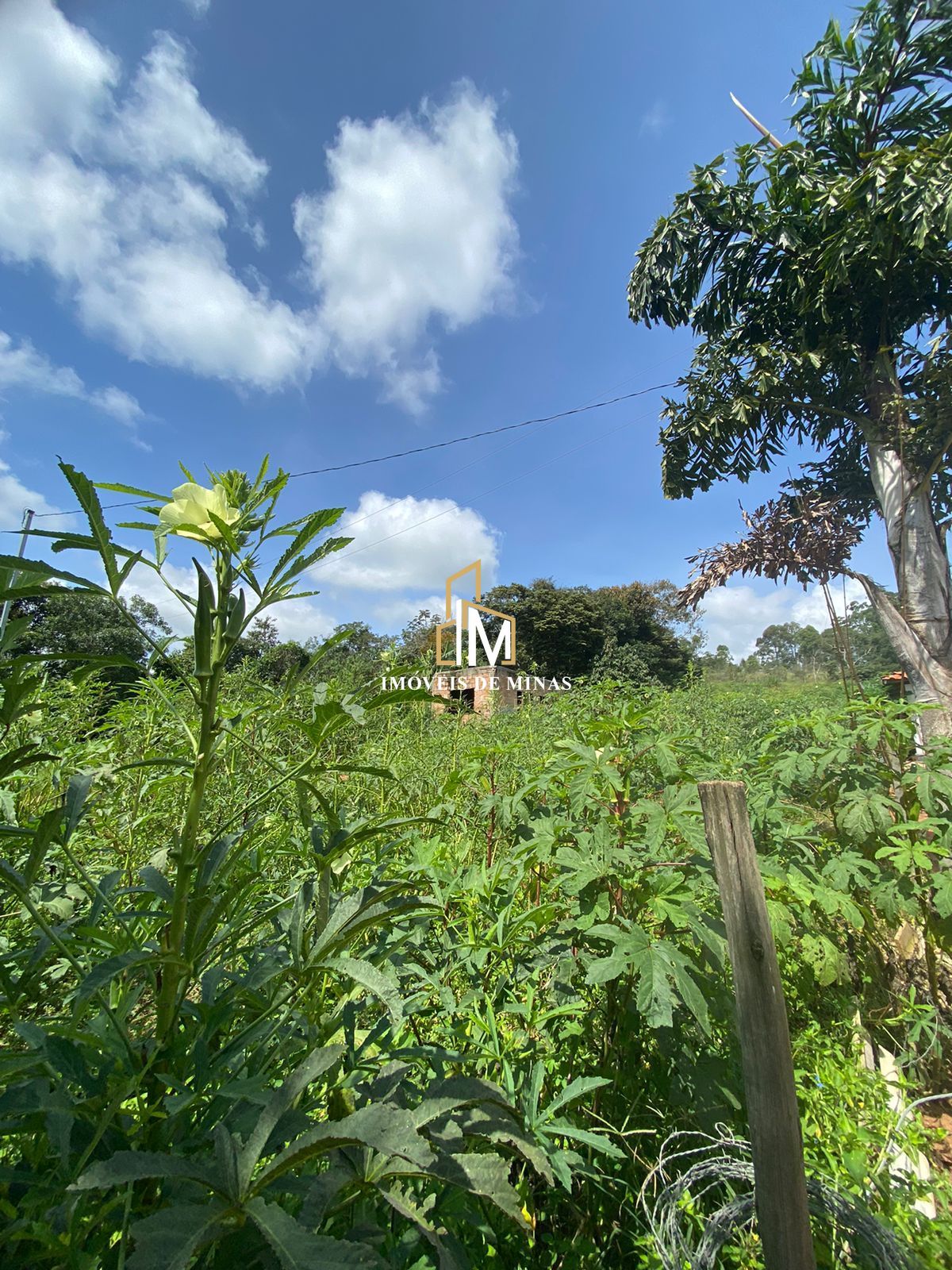 Terreno à venda, 1000m² - Foto 4