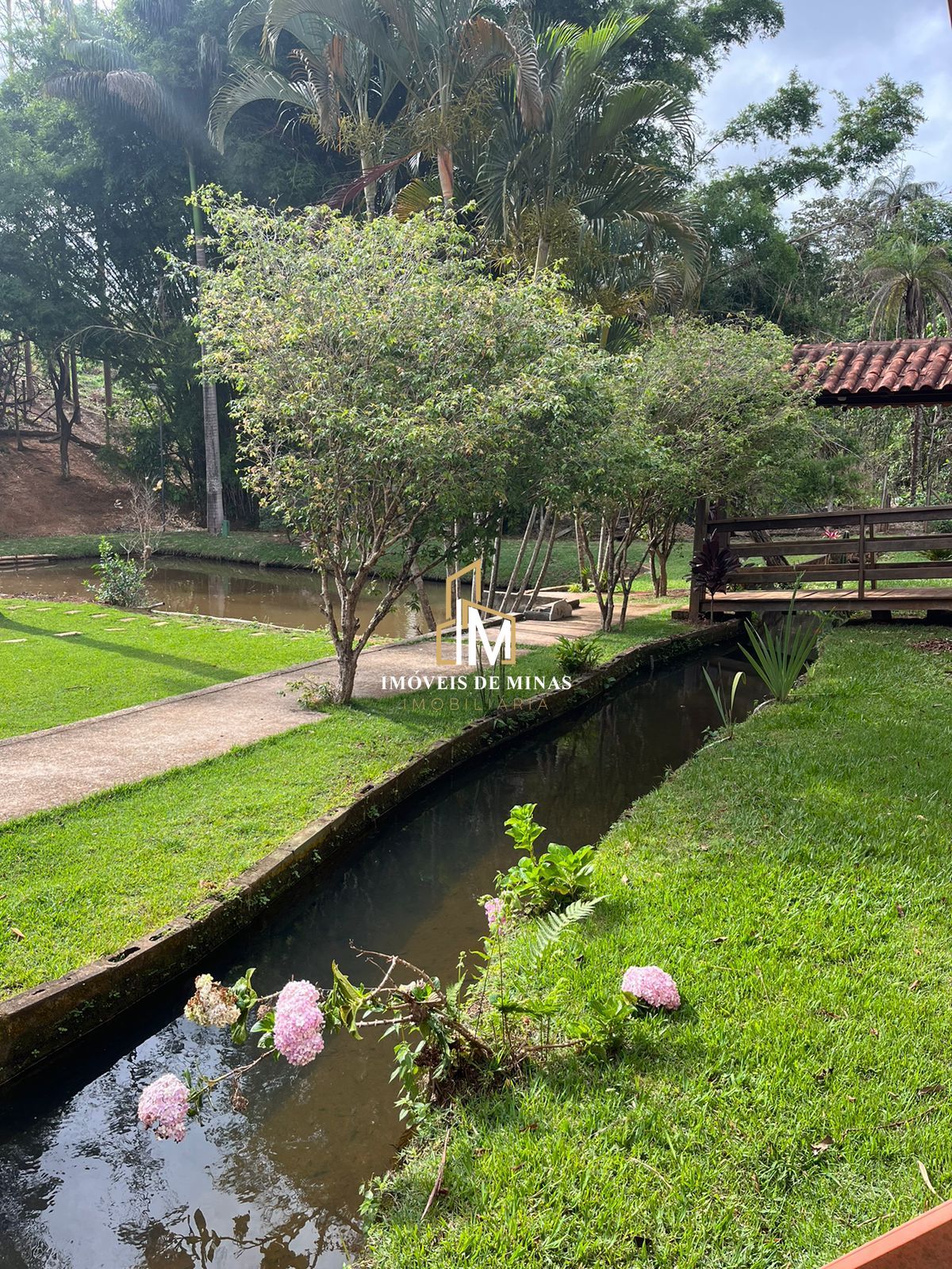 Fazenda à venda com 4 quartos, 16000m² - Foto 6