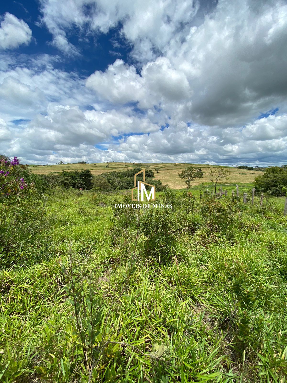 Terreno à venda, 1000m² - Foto 1