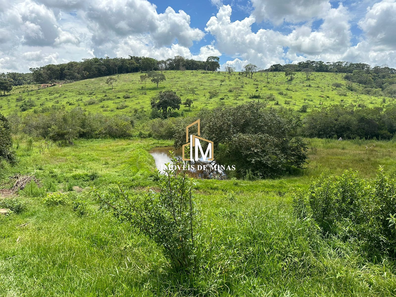 Sítio à venda com 3 quartos, 27000m² - Foto 14