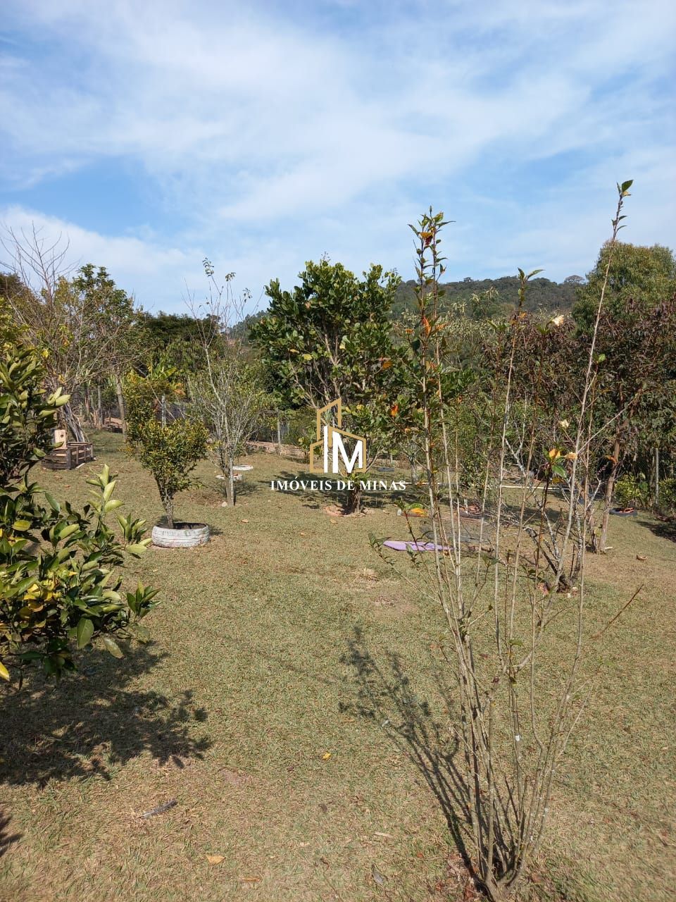 img30815871