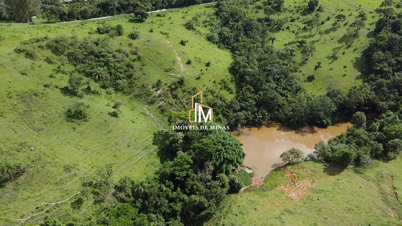 Fazenda à venda com 4 quartos, 4400000000m² - Foto 14