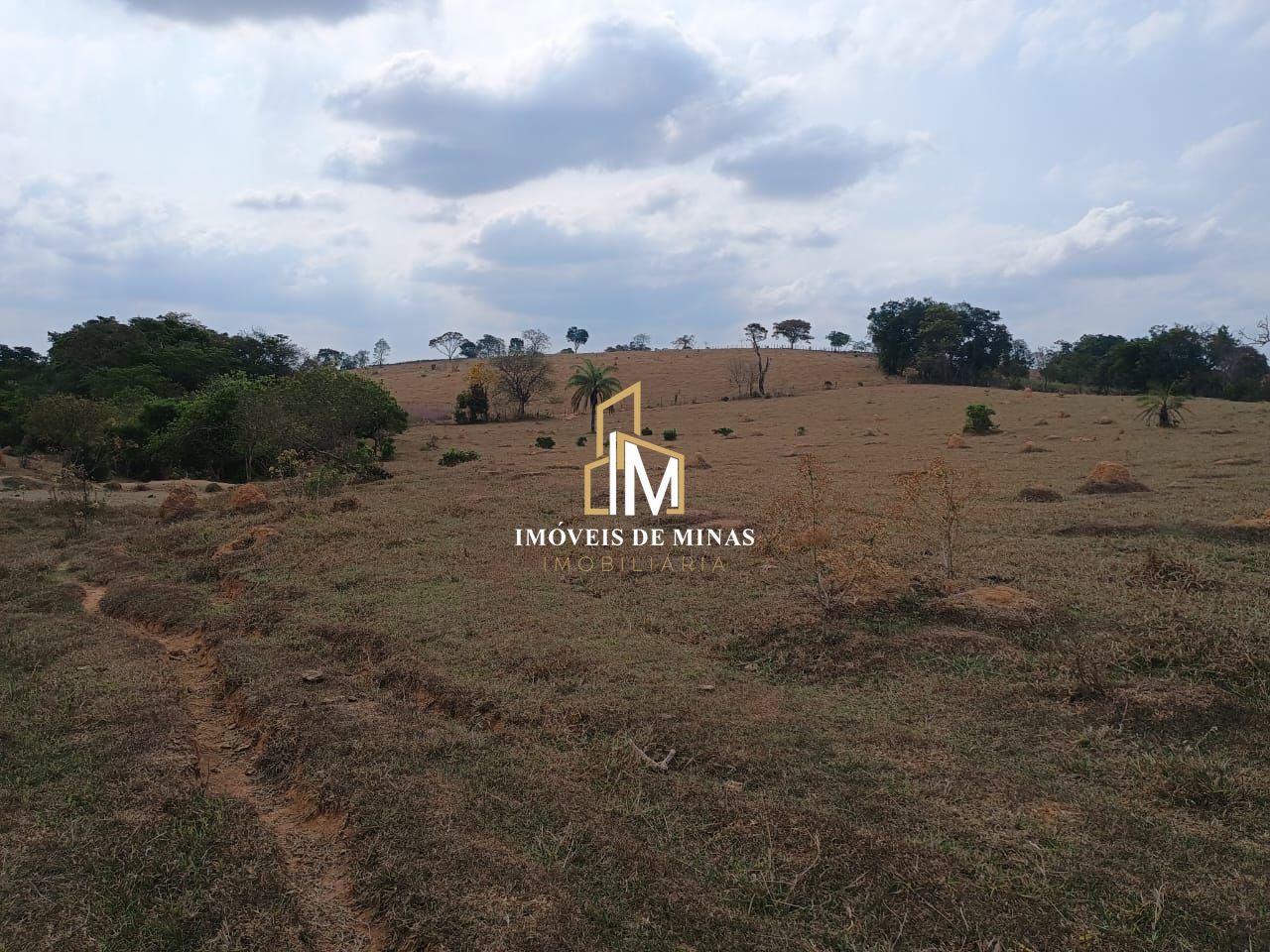 Fazenda à venda com 3 quartos, 7800000000m² - Foto 2