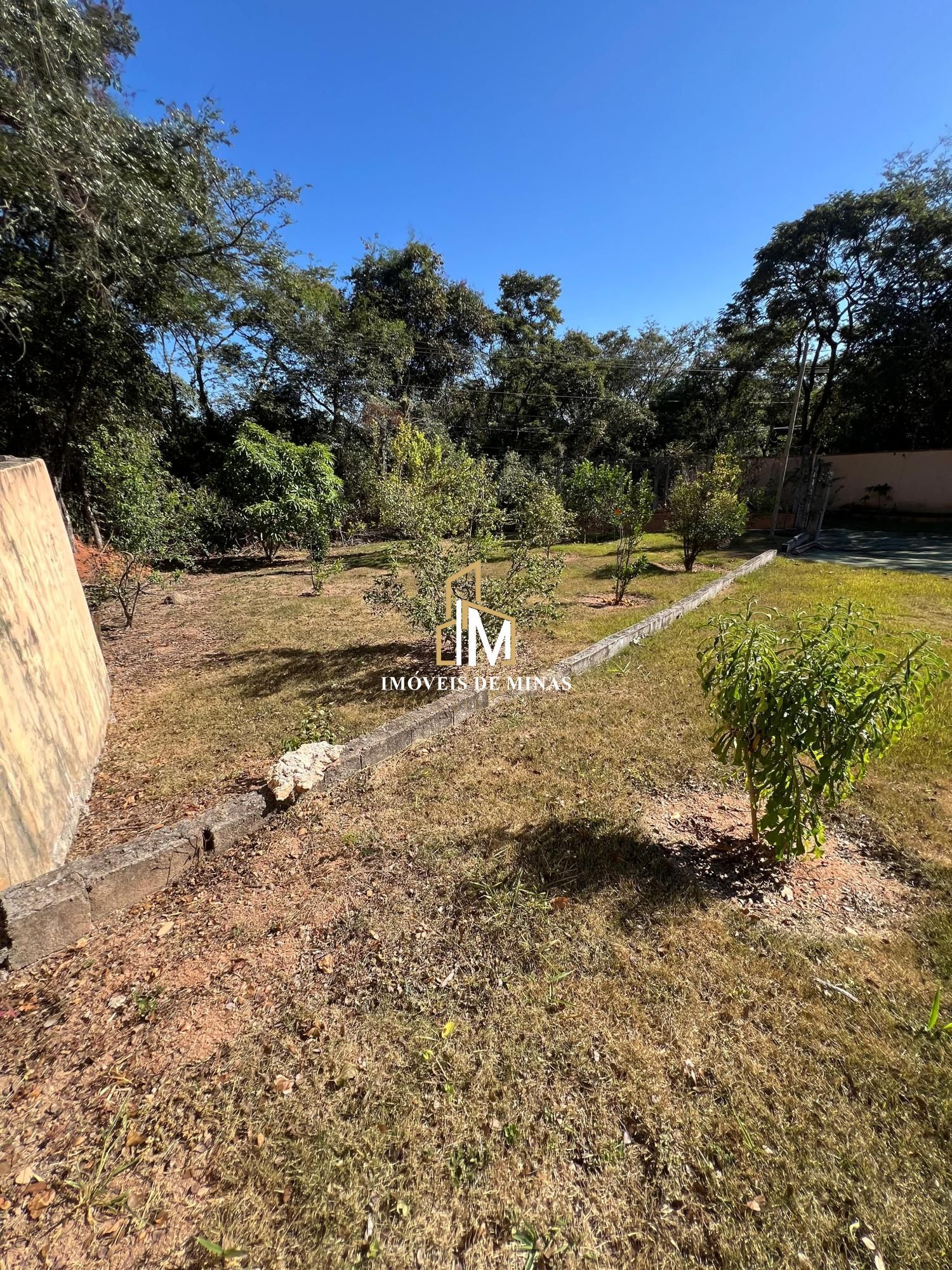 Fazenda à venda com 5 quartos, 2800m² - Foto 19