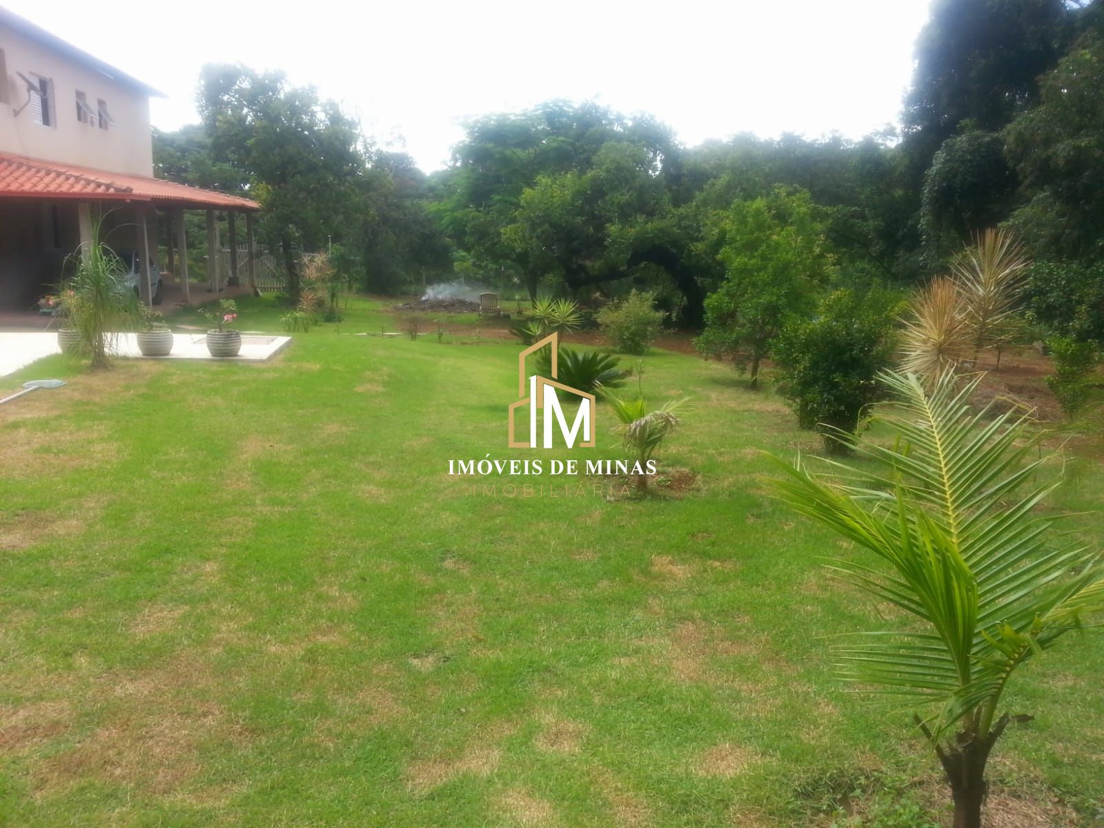 img30909720