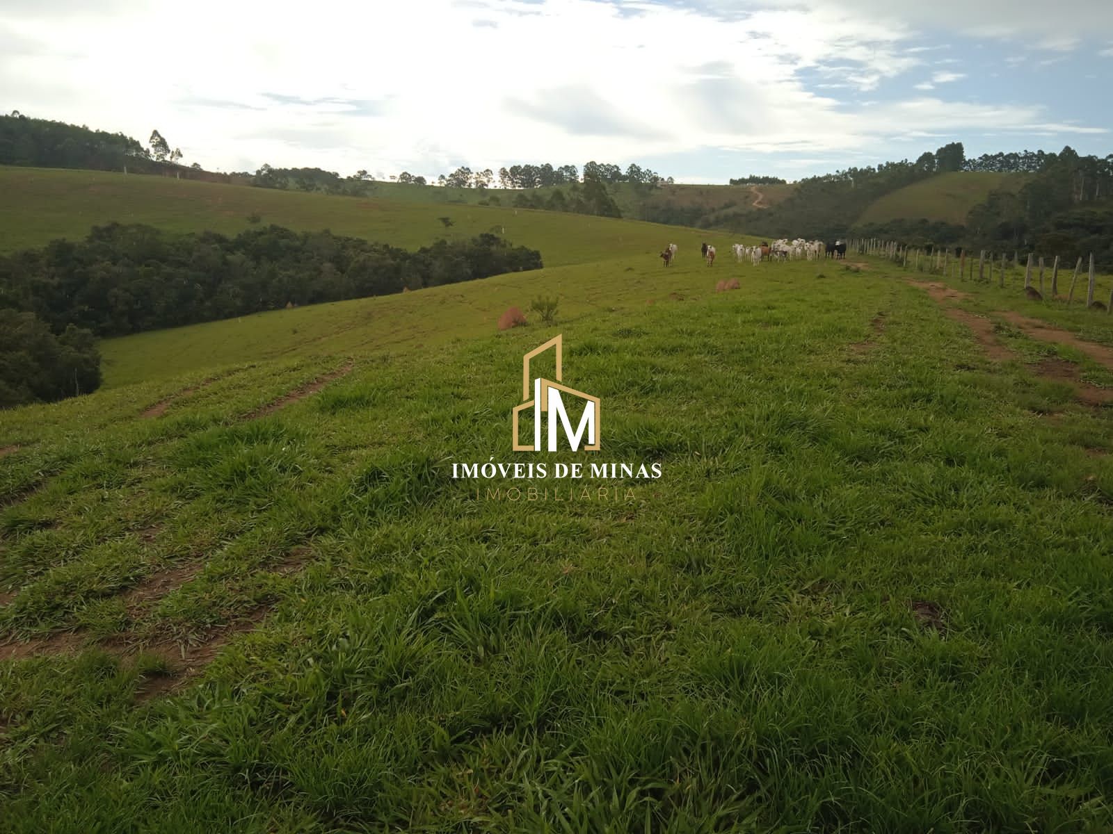 Lote/Terreno de 20000m² no bairro Zona Rural, em Piedade dos Gerais | Eu Corretor