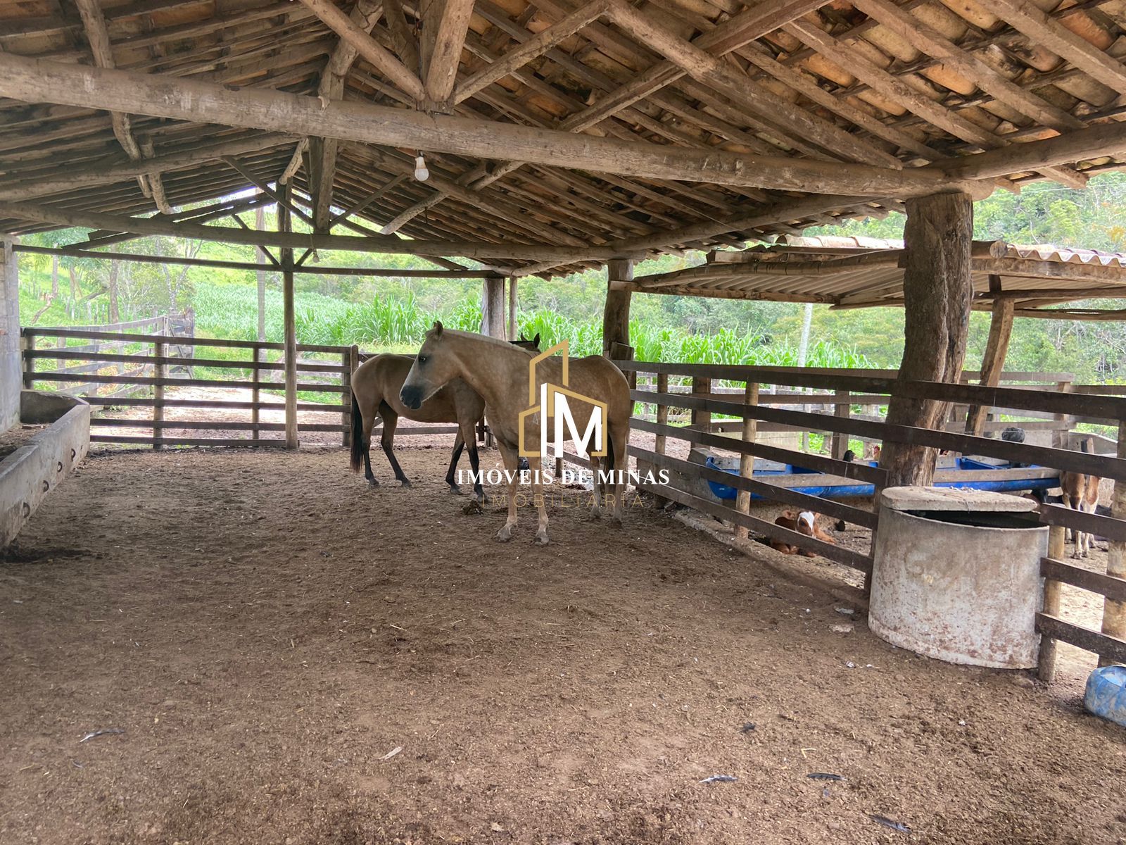 Fazenda à venda com 4 quartos, 1500000000m² - Foto 25