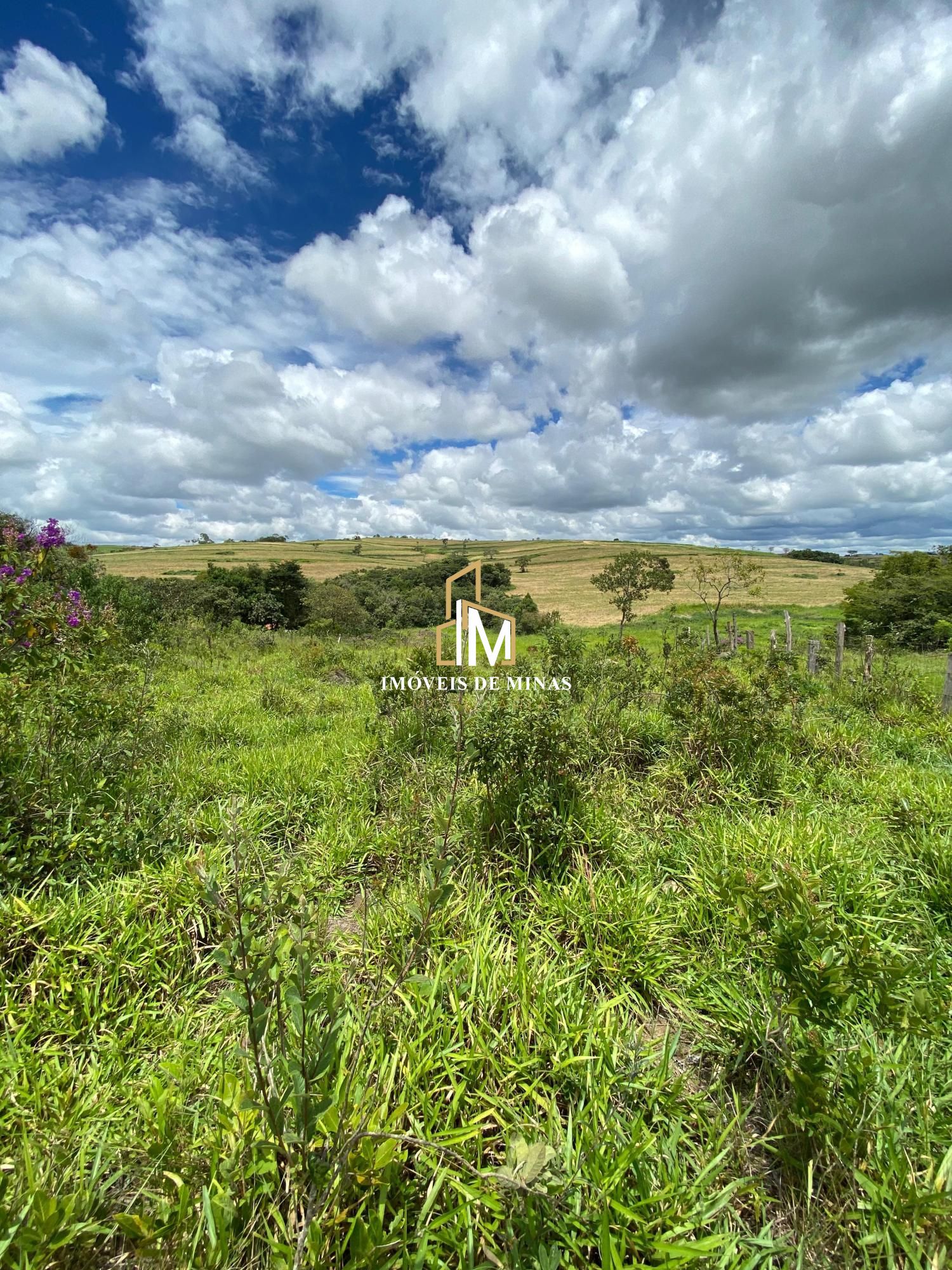 Terreno à venda, 1000m² - Foto 5