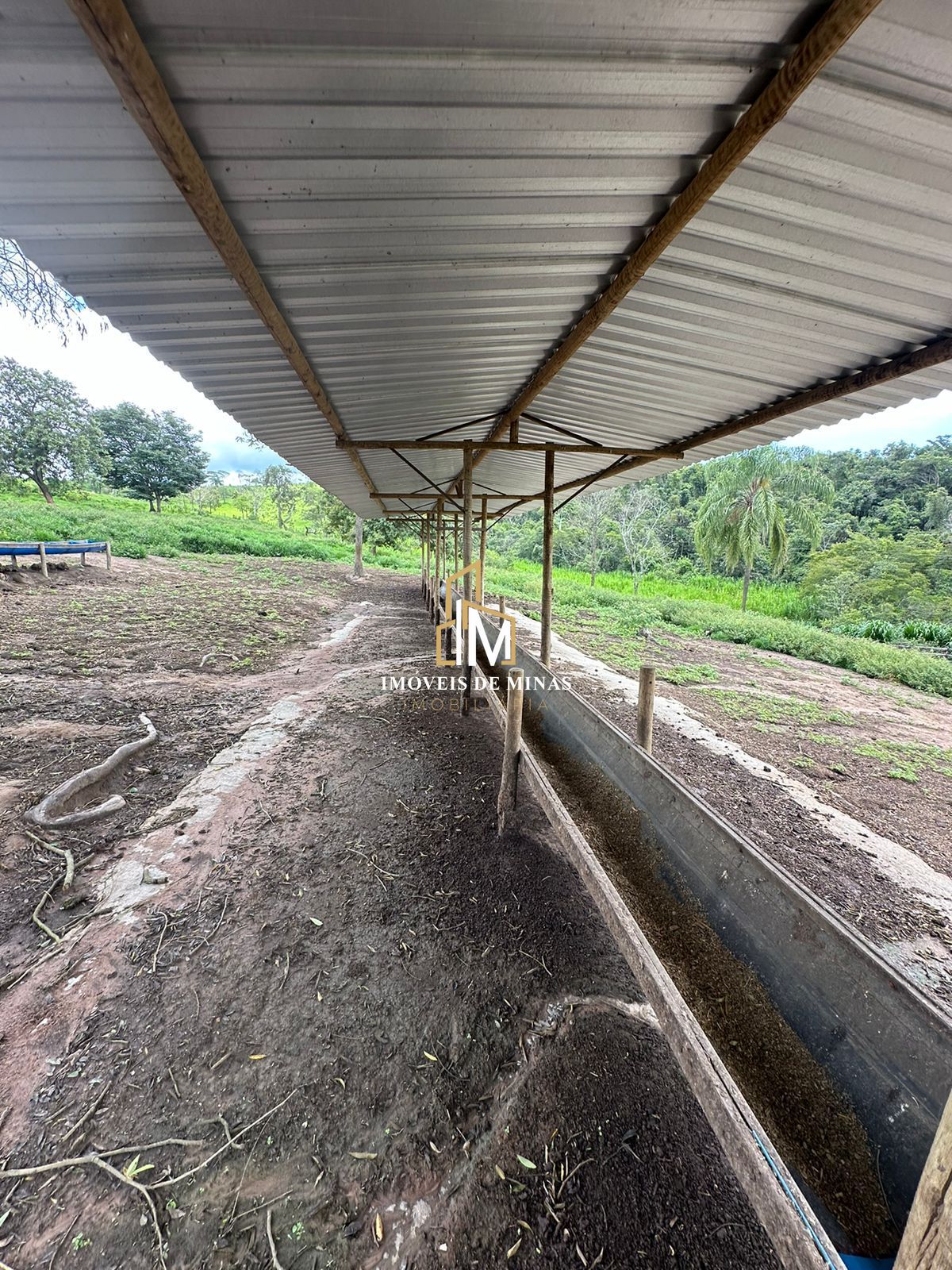 Fazenda à venda com 4 quartos, 1500000000m² - Foto 27