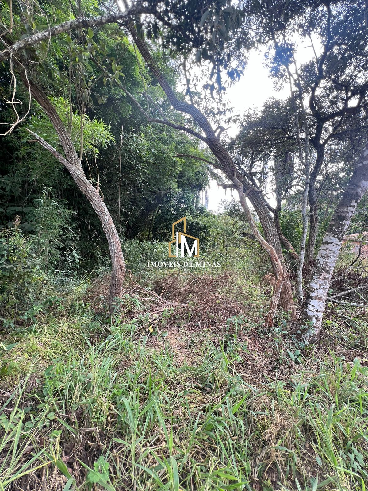 Terreno à venda, 8000m² - Foto 10