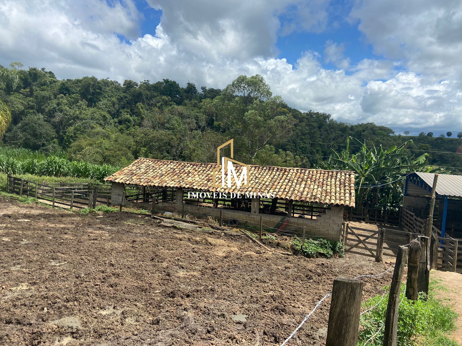 Fazenda à venda com 4 quartos, 1500000000m² - Foto 6