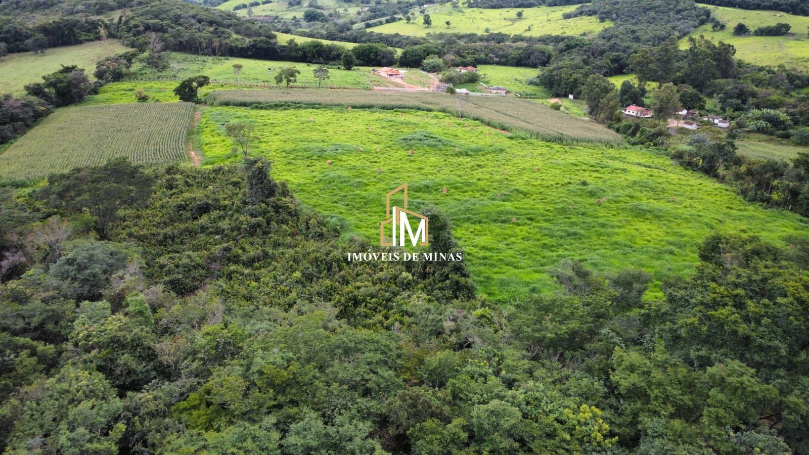 Fazenda à venda com 3 quartos, 310000m² - Foto 15