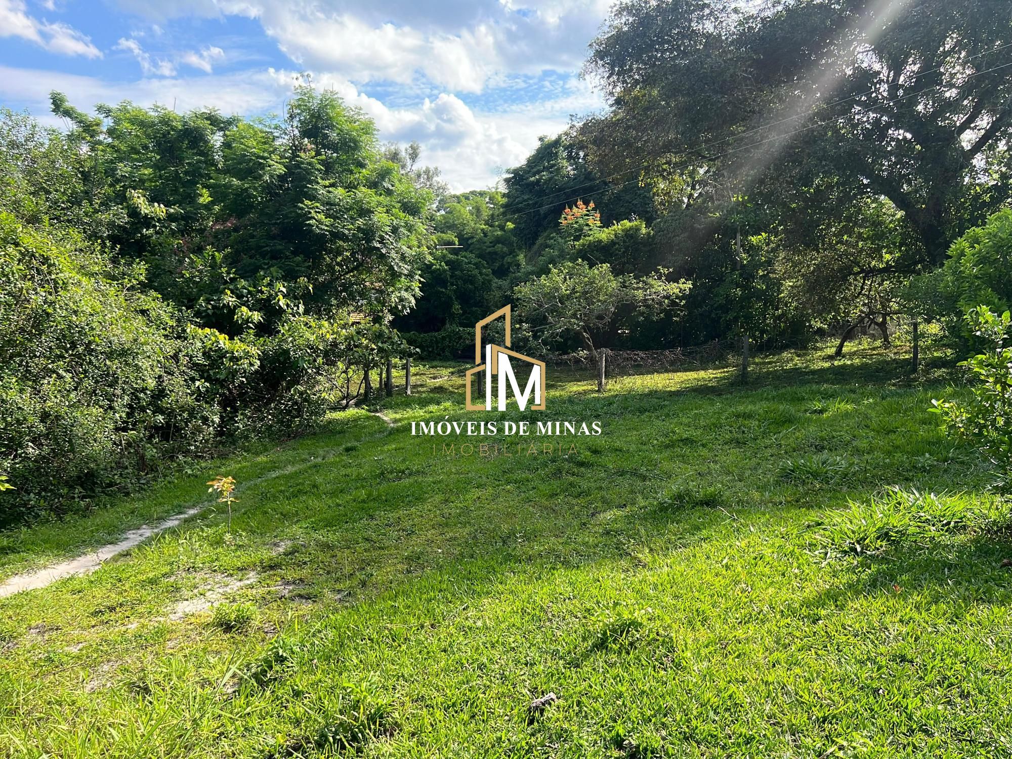 img74229826