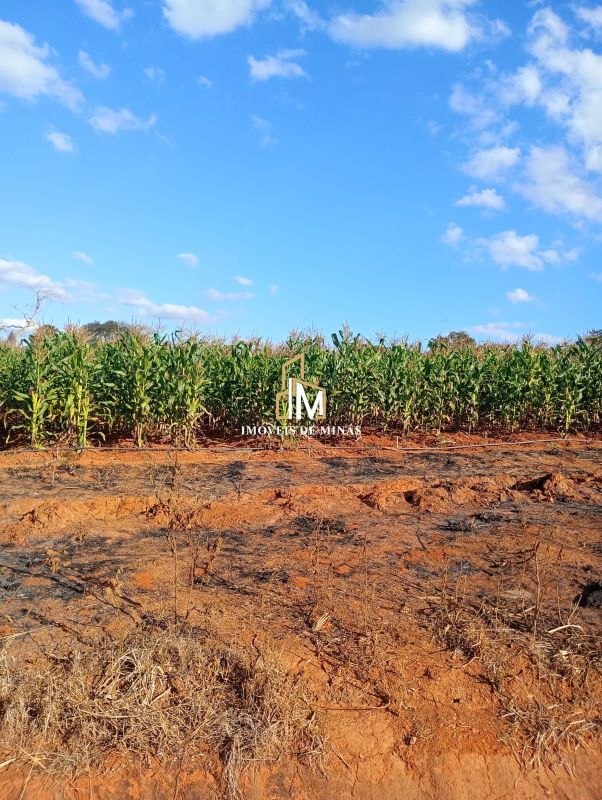 Terreno à venda, 1000m² - Foto 1