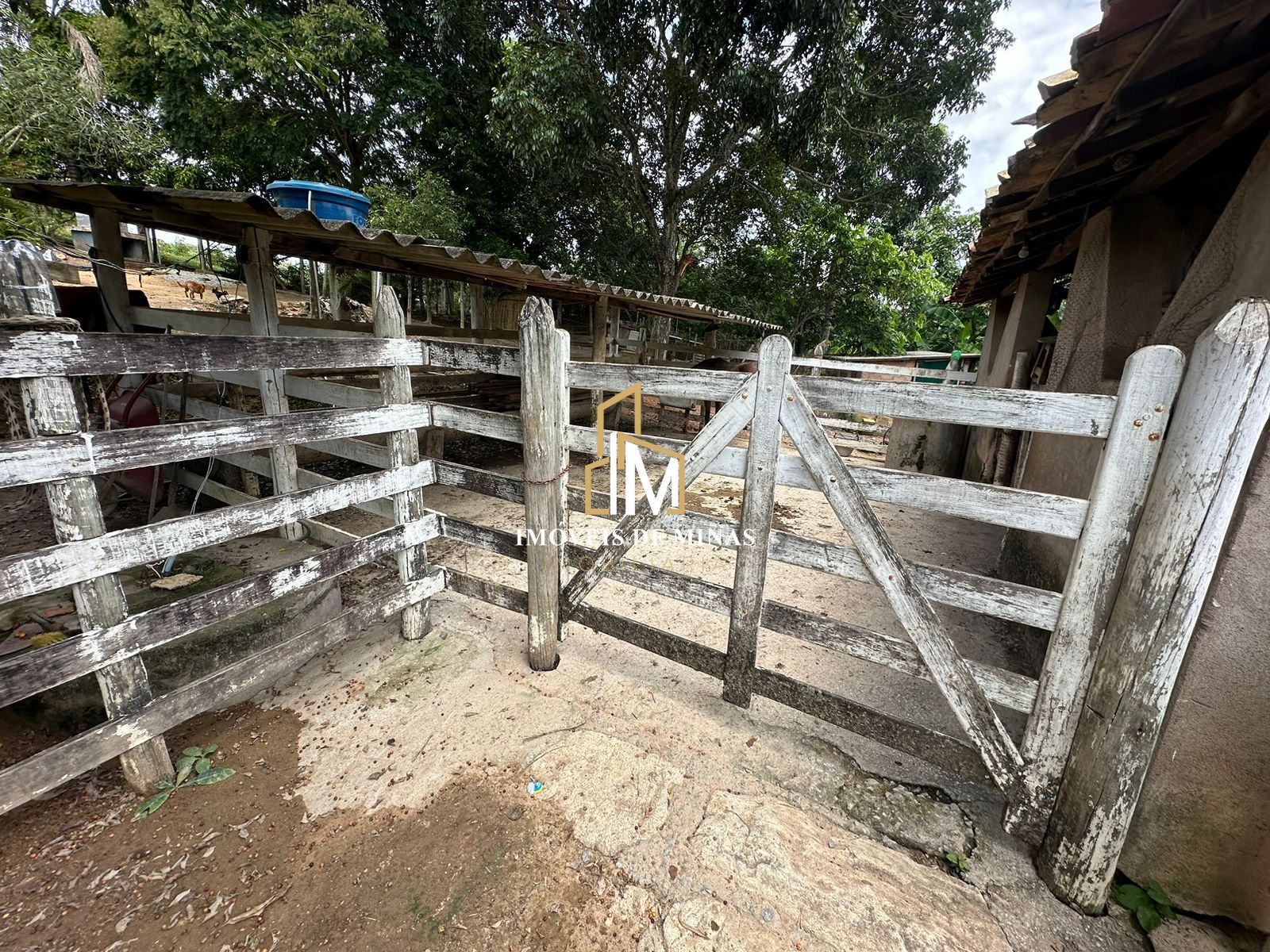 Fazenda à venda com 3 quartos, 260000000m² - Foto 20