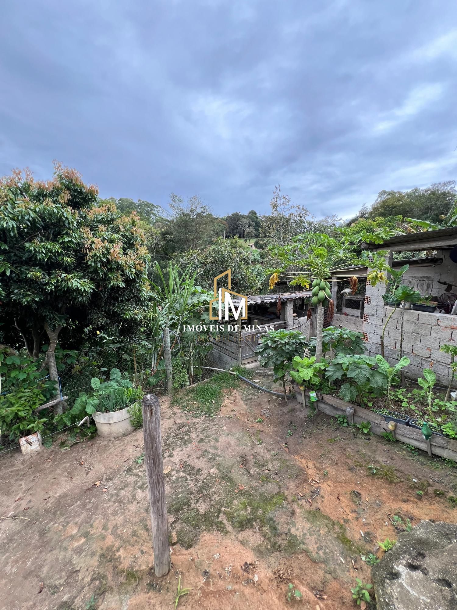 Fazenda à venda com 3 quartos, 19000m² - Foto 27