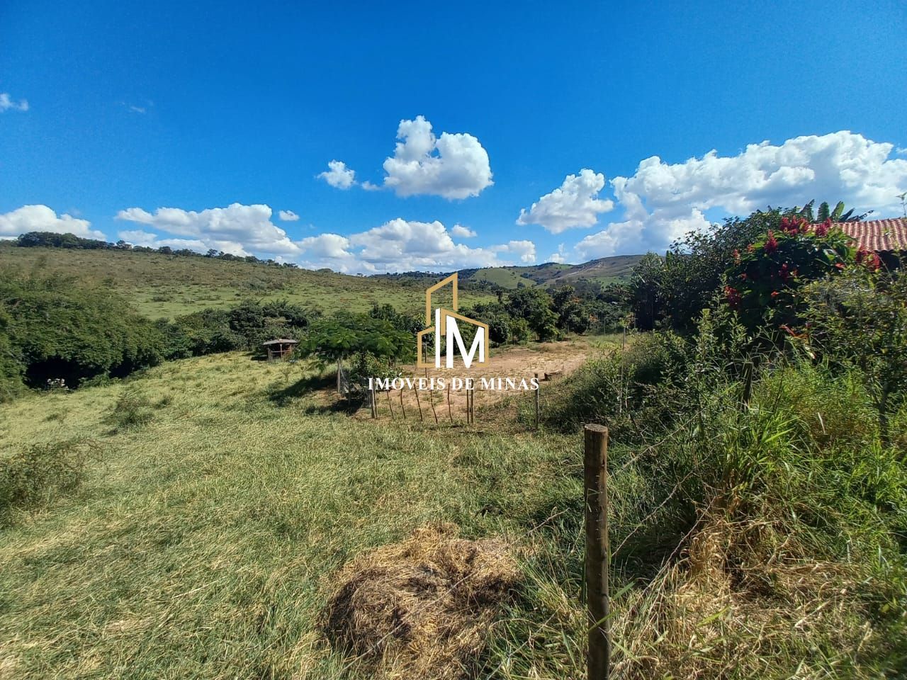 Fazenda à venda com 3 quartos, 80000m² - Foto 8