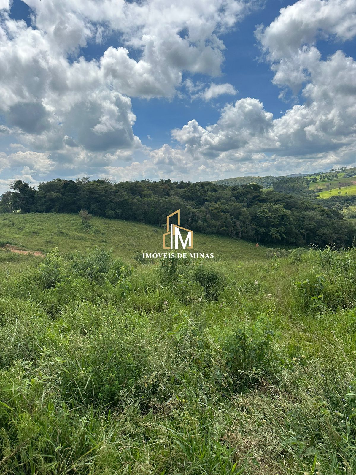 Fazenda à venda com 4 quartos, 4500000000m² - Foto 21