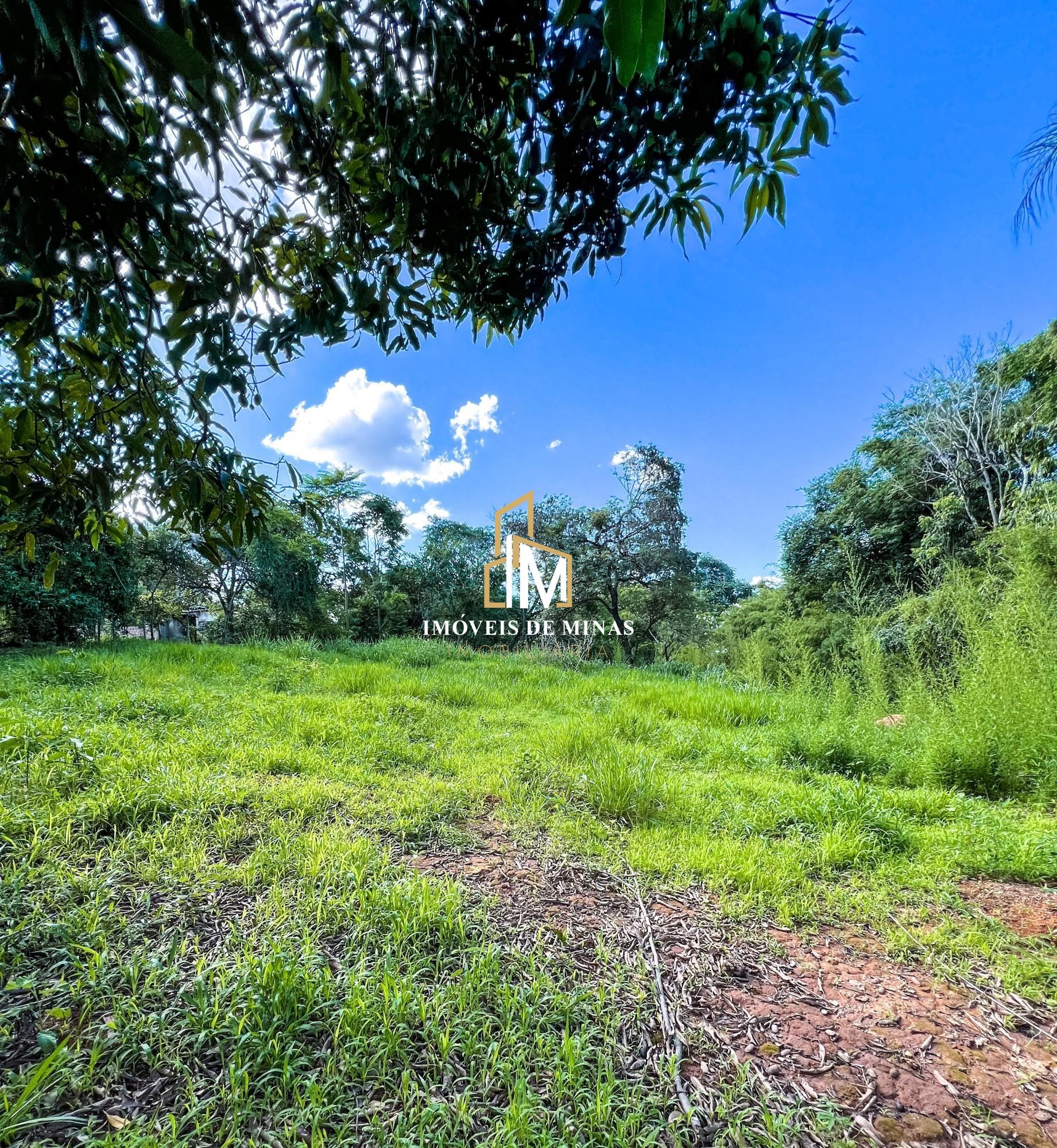 Sítio à venda com 4 quartos, 12000m² - Foto 21