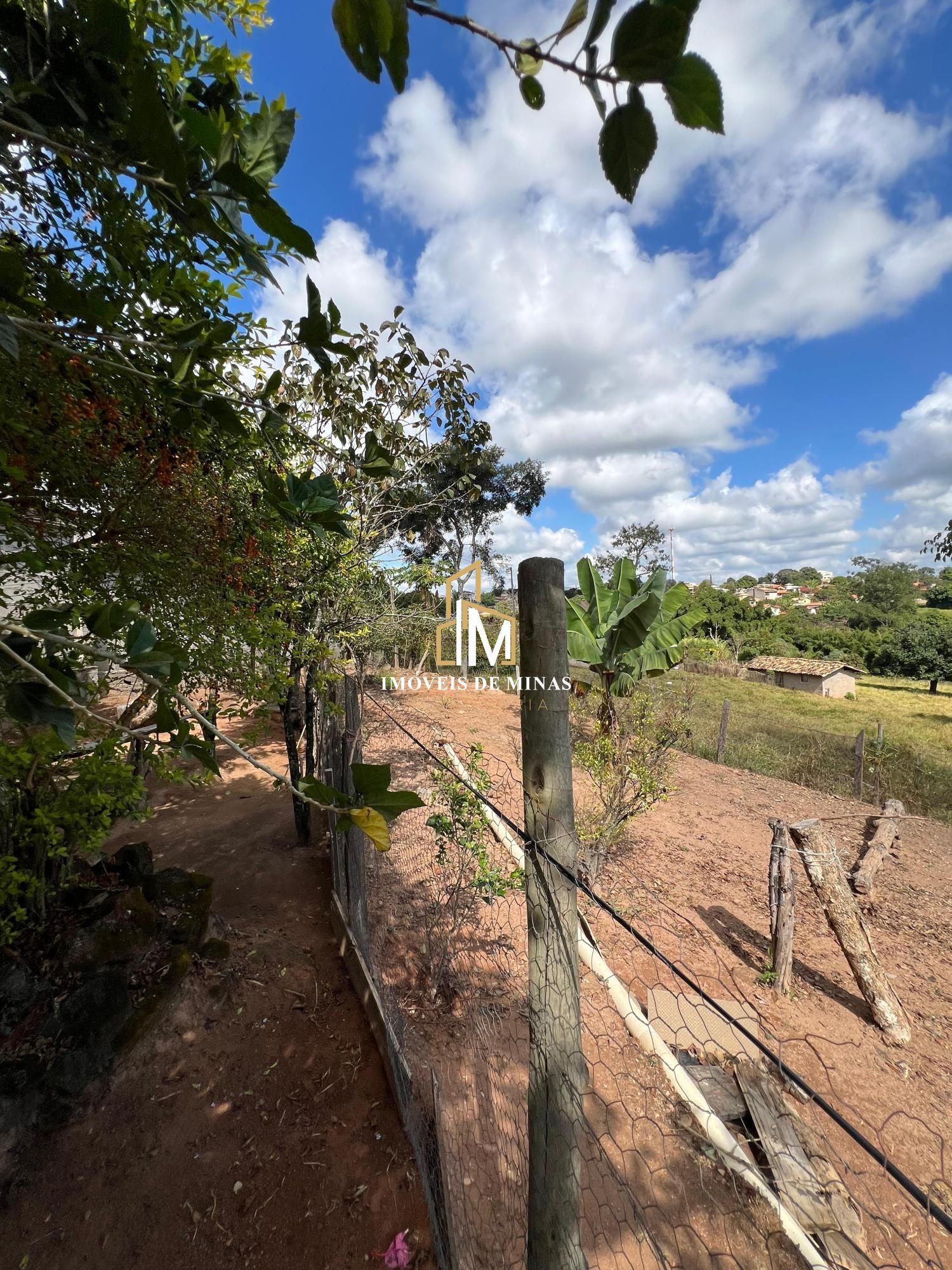 Fazenda à venda com 2 quartos, 1238m² - Foto 18