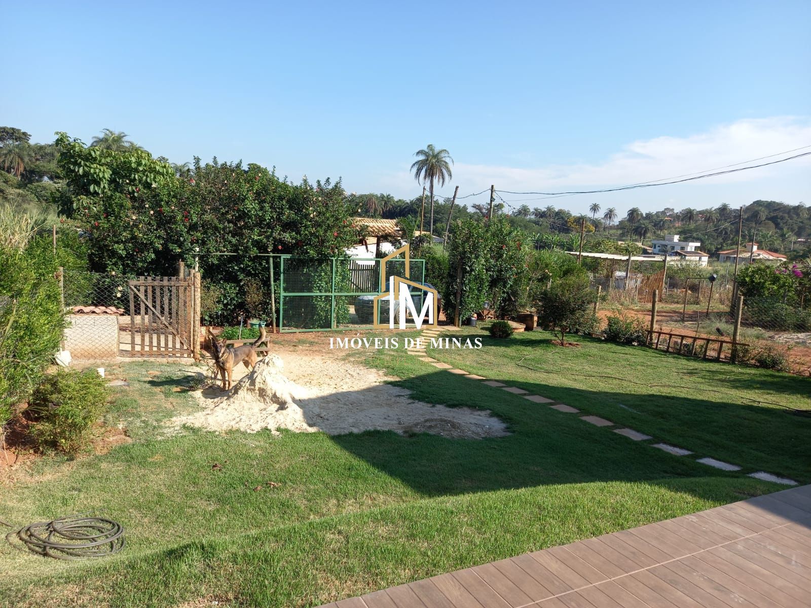 img30265814