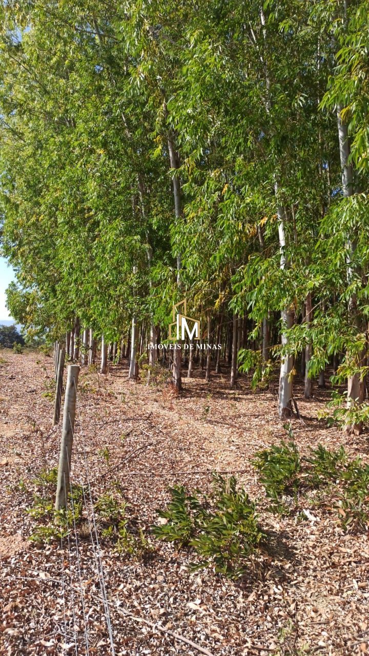img39881536