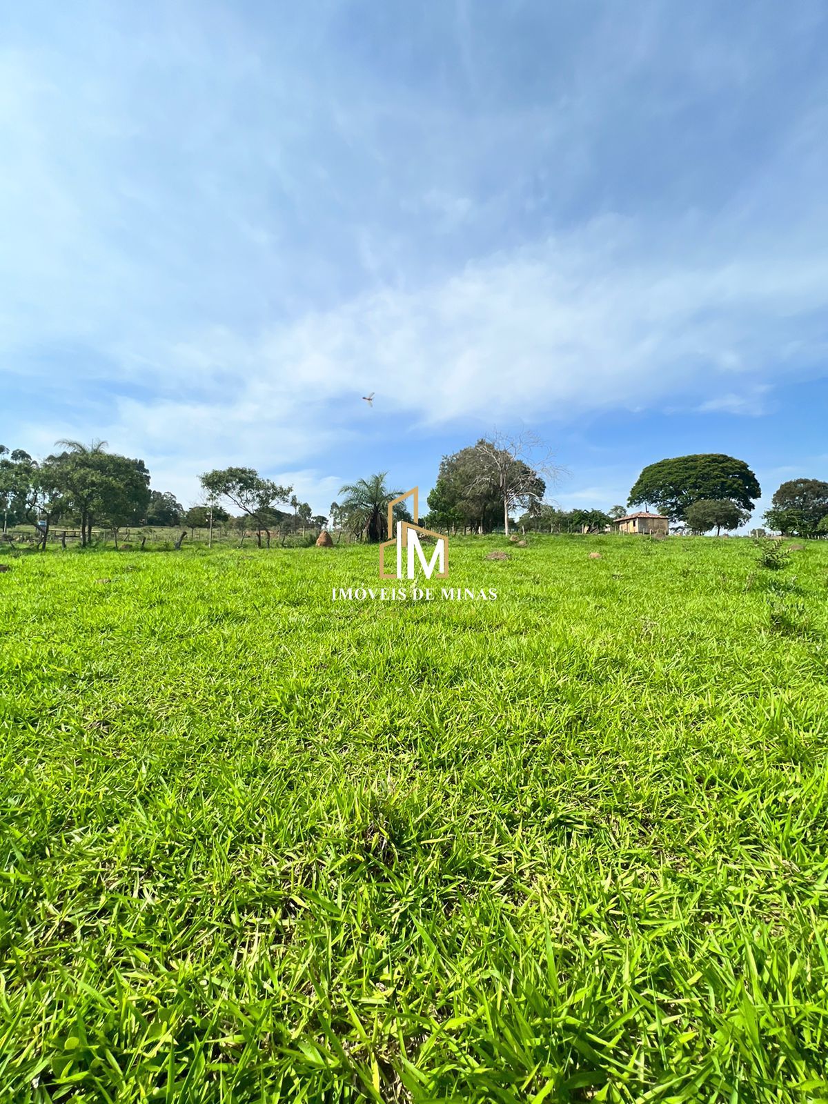 Lote/Terreno de 1000m² no bairro Pedras, em Itatiaiuçu | Eu Corretor