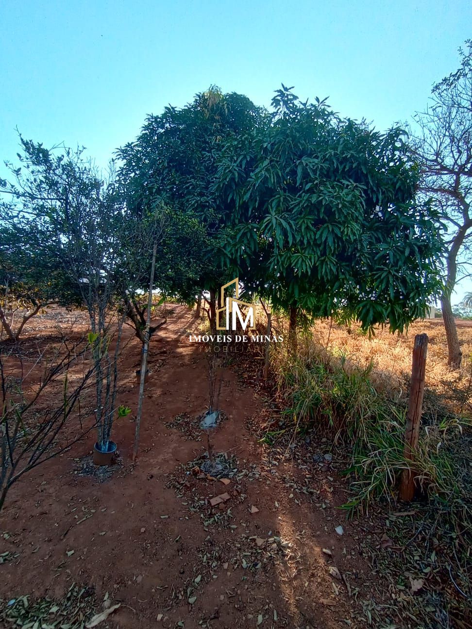 Terreno à venda, 1000m² - Foto 7