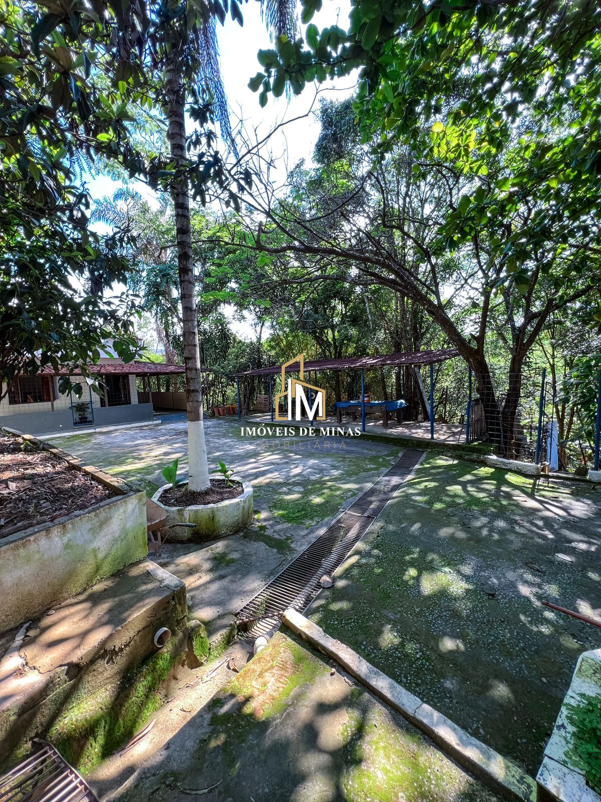 Sítio à venda com 4 quartos, 12000m² - Foto 18