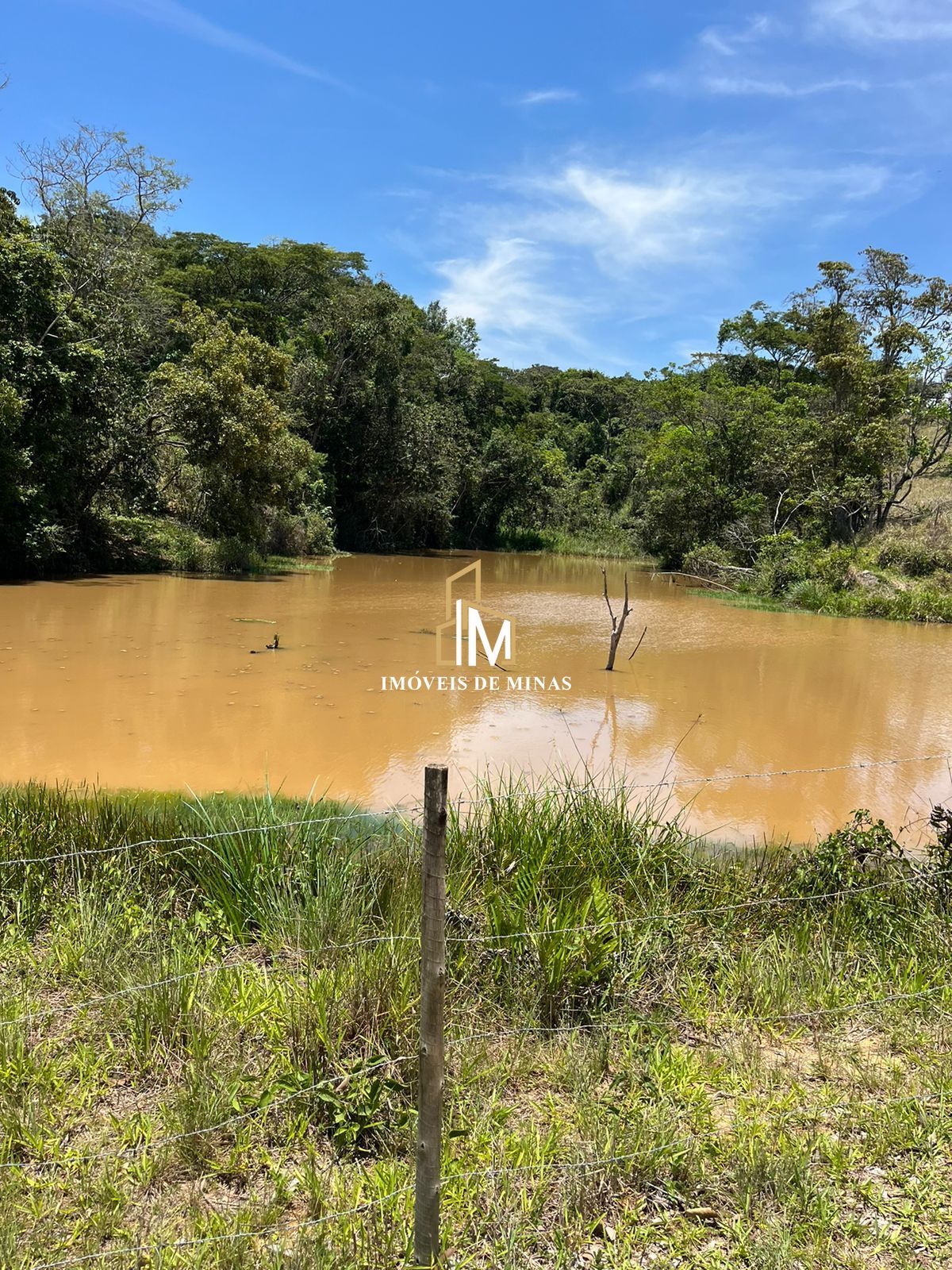 Fazenda à venda com 7 quartos, 14600000000m² - Foto 22