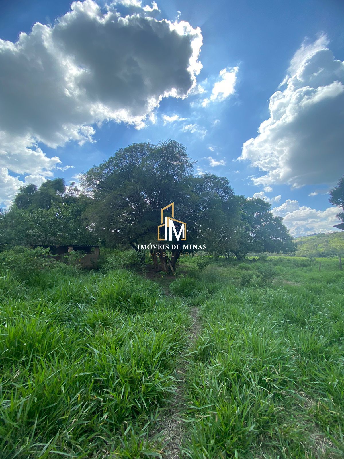 Lote/Terreno de 30000m² no bairro Zona Rural, em Bonfim | Eu Corretor