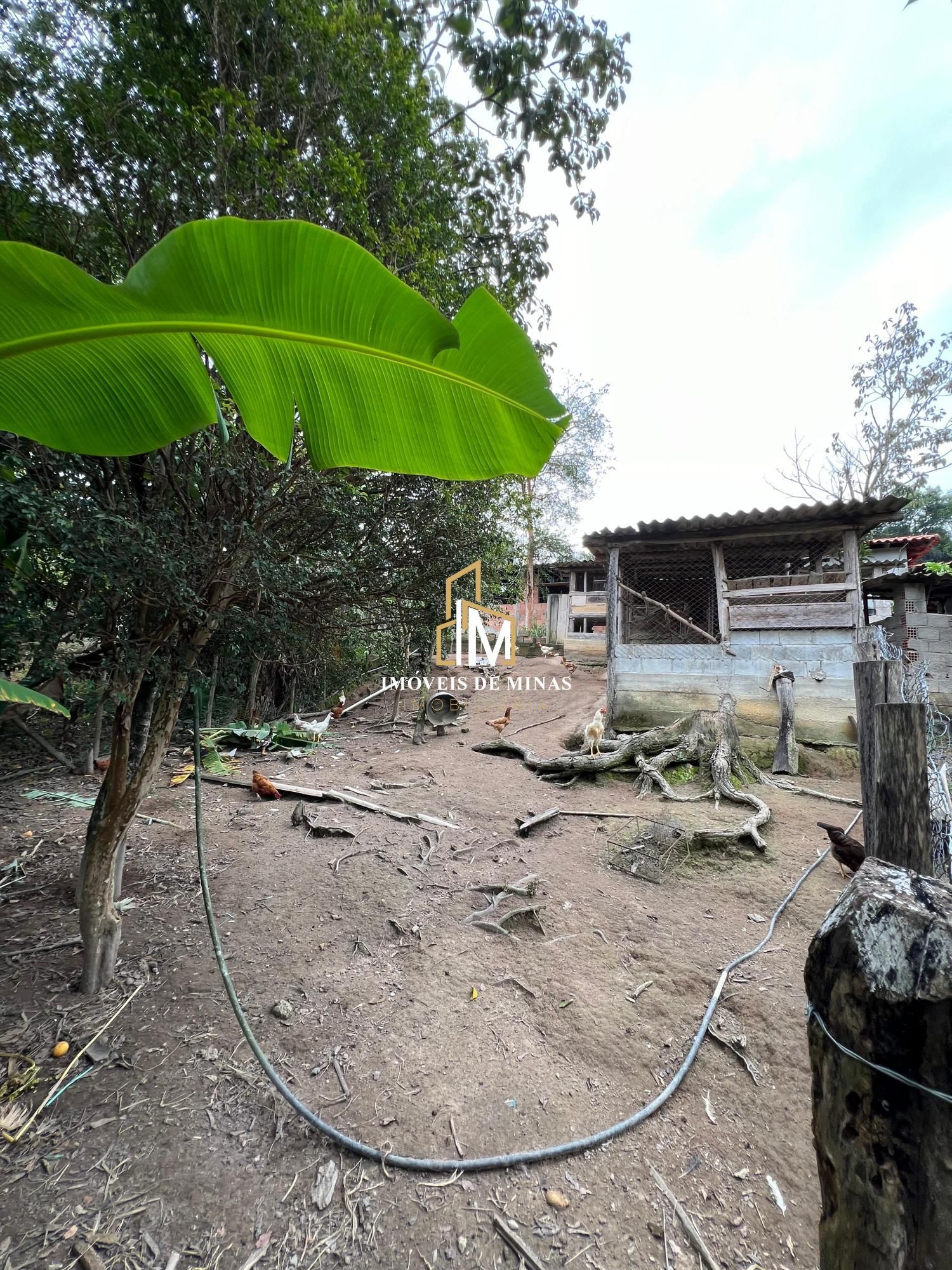 Fazenda à venda com 3 quartos, 19000m² - Foto 18