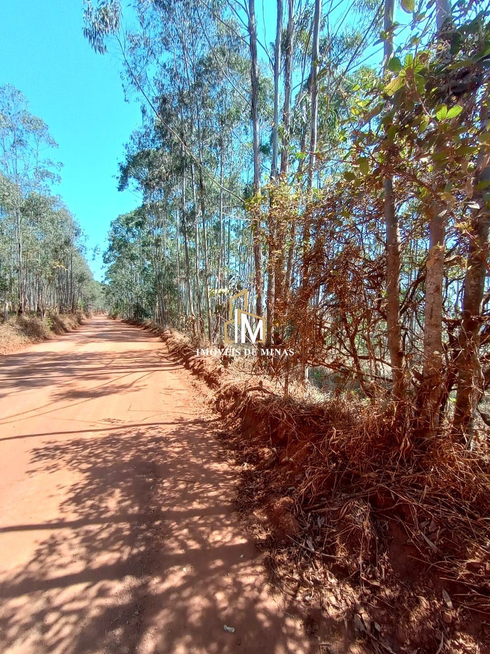 img33048107