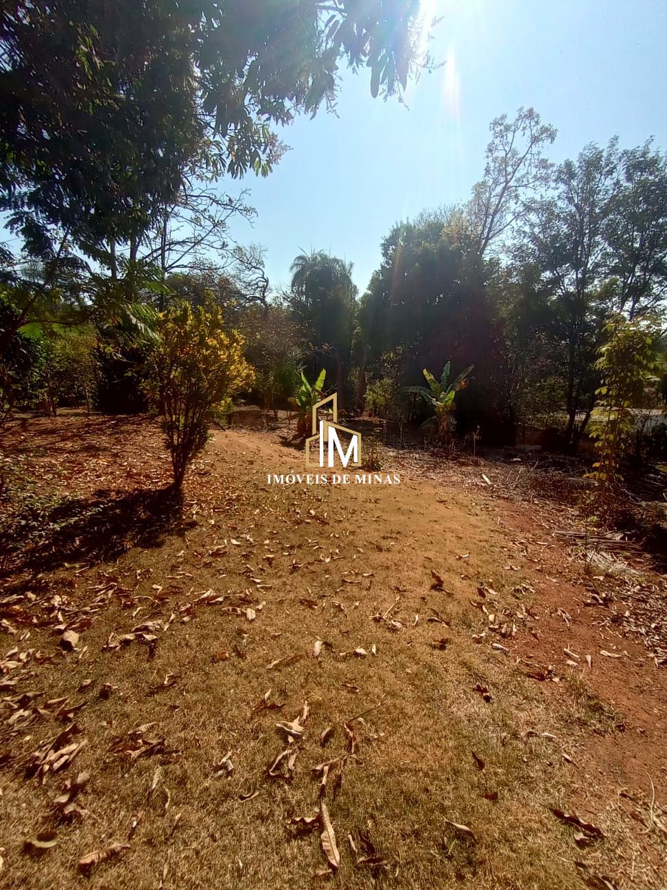 Terreno à venda, 1000m² - Foto 6