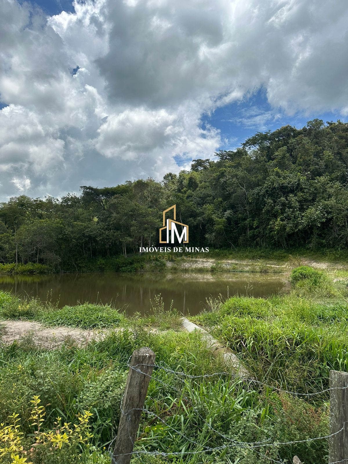 Fazenda à venda com 4 quartos, 1500000000m² - Foto 16