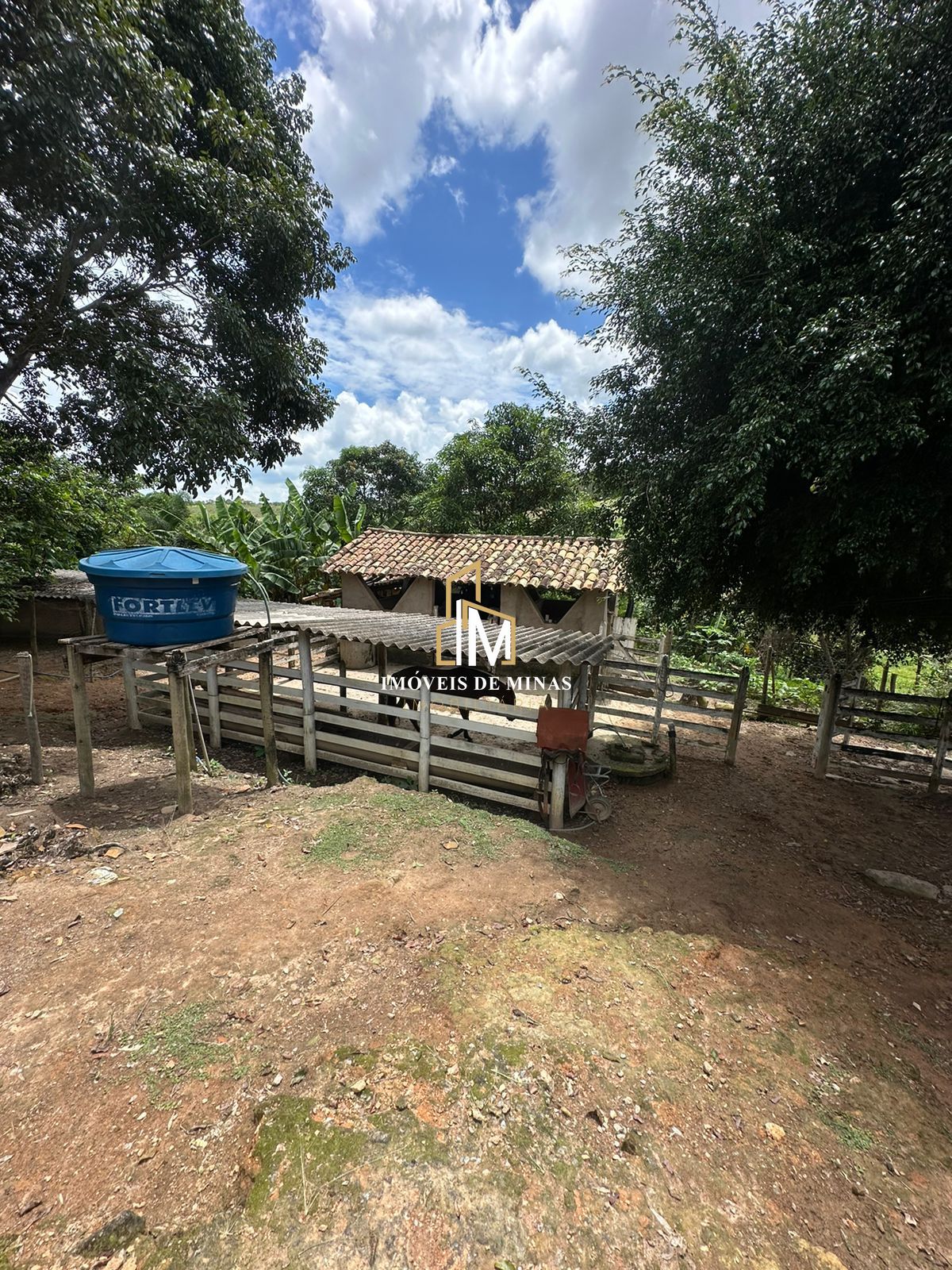 Fazenda à venda com 3 quartos, 260000000m² - Foto 7