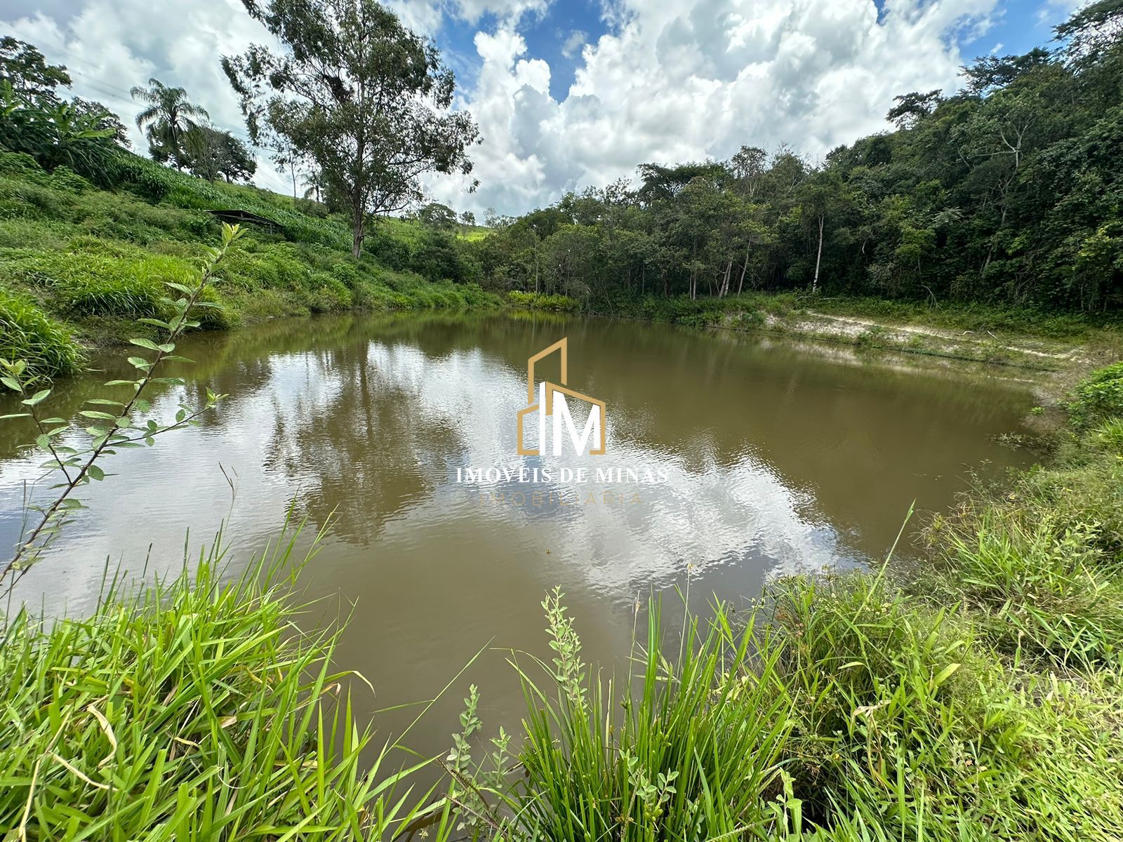 Fazenda à venda com 4 quartos, 1500000000m² - Foto 18